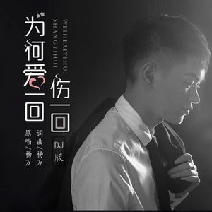杨万-为何爱一回伤一回（DJ沈念版） 伴奏