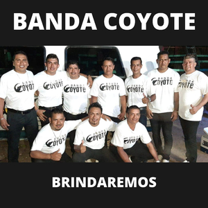 Brindaremos