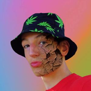 Ta Soeur à Quatre Pattes