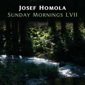 Wings of Serenity & Sunday Mornings