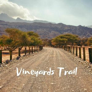 Under the Bay Bridge