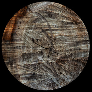 Second Realization (Atomic Moog Remix)