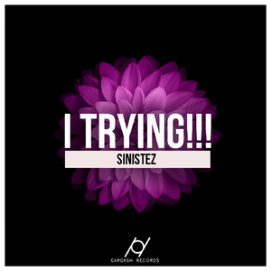 I Trying!!! (Original Mix)