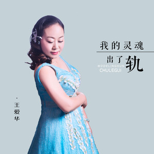 我的灵魂出了轨
