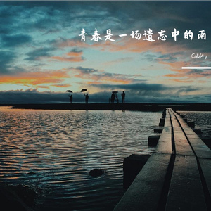 青春是一场遗忘中的雨prod.by.evomusic