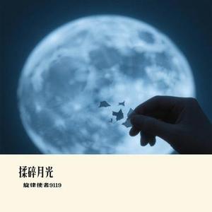 揉碎月光
