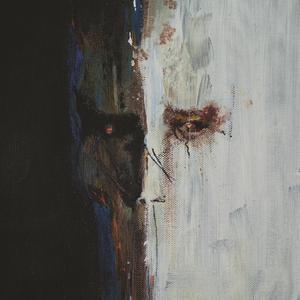 Ribanc (feat. Dj Mango)