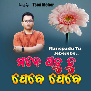 MANE PADU TU JEBE JEBE