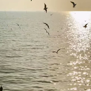 猜不透 奶酪ovo（如果忽远忽近的洒脱）