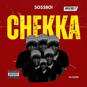 Chekka (feat. TshepoSkinnyGuy)