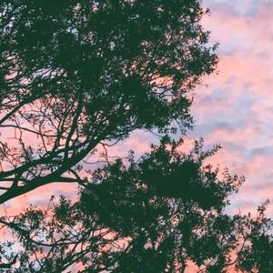 You fell IN LOVE in my Lust