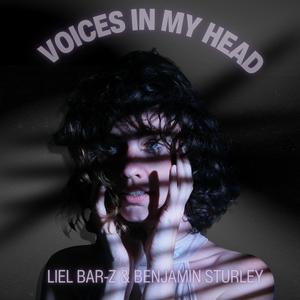 Voices in my Head (feat. Benjamin Sturley)