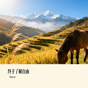 终于了解自由