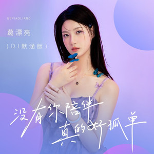 没有你陪伴真的好孤单 (DJ默涵版)