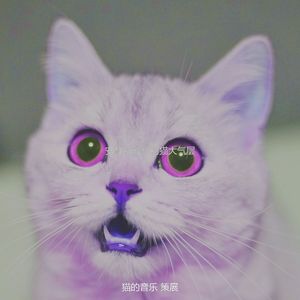 温和压力大的猫梦想