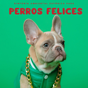 Colas Felices En Sinfonía Relajante