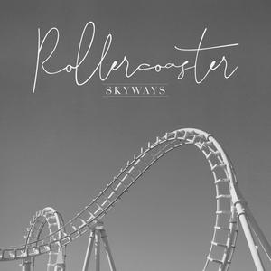 Rollercoaster (feat. Wild Bounce) (Wild Bounce Remix)