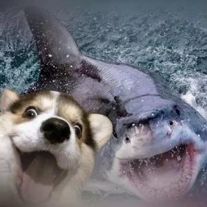 常逆着光，但一心向阳