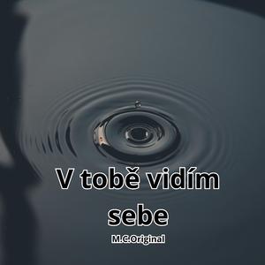 V tobě vidím sebe