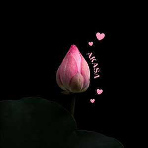 楞严心咒Divine Calm