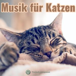Katzenschnurren | Musik zum Stressabbau für Katzen