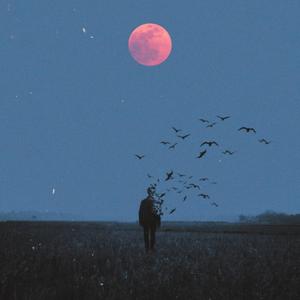 最想回到那个老地方（语录版）