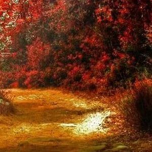 再次路过这一场风花雪月的青春