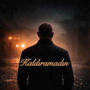 Kaldıramadın