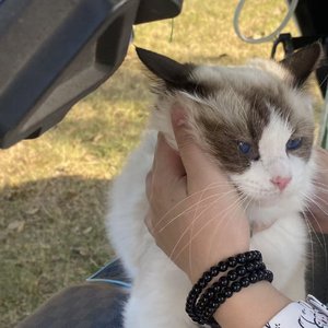 或许爱你不过是个念想