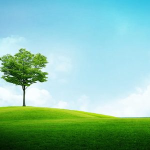 《回忆围墙上的时光碎片》