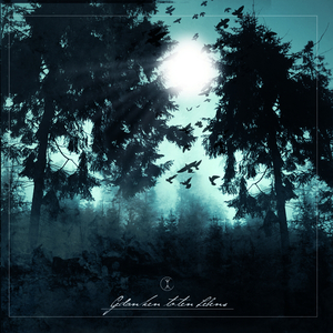 Erwachen im Scheine des Mondes