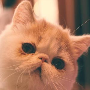 idontwannabeyouanymore