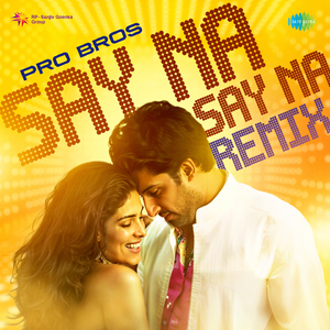 Say Na Say Na - Pro Bros Remix