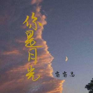 你是月光（吉他版）