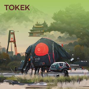 Tokek