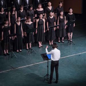 祖国给我理想（翻自 智树春）