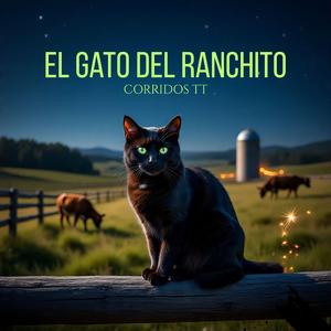 El gato del rachito