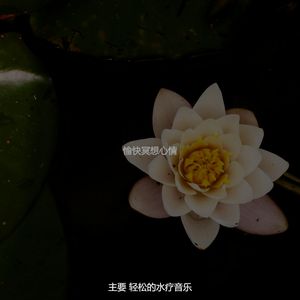 温和面部按摩梦想