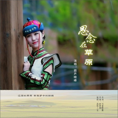 思念在草原