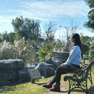 江城子·忆妻弗