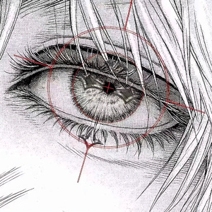 新鲜感是幸福倒计时