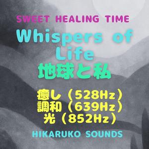 風のハーモニー