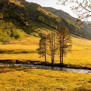 花会开在你走的路旁 (Cover 橘子汽水)