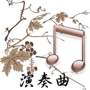 星际穿越-Interstellar钢琴版