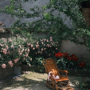 青丝换白发