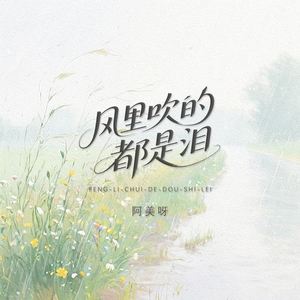 风里吹的都是泪