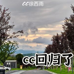 Young and beautiful（《了不起的盖茨比》插曲）