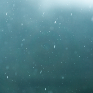 비 소식이 있었나요