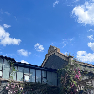 Can you like me（siren）