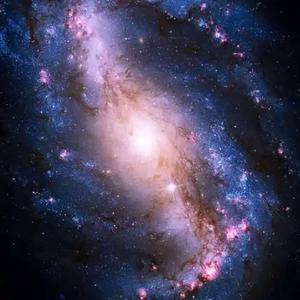 怎样的乐章-李刚